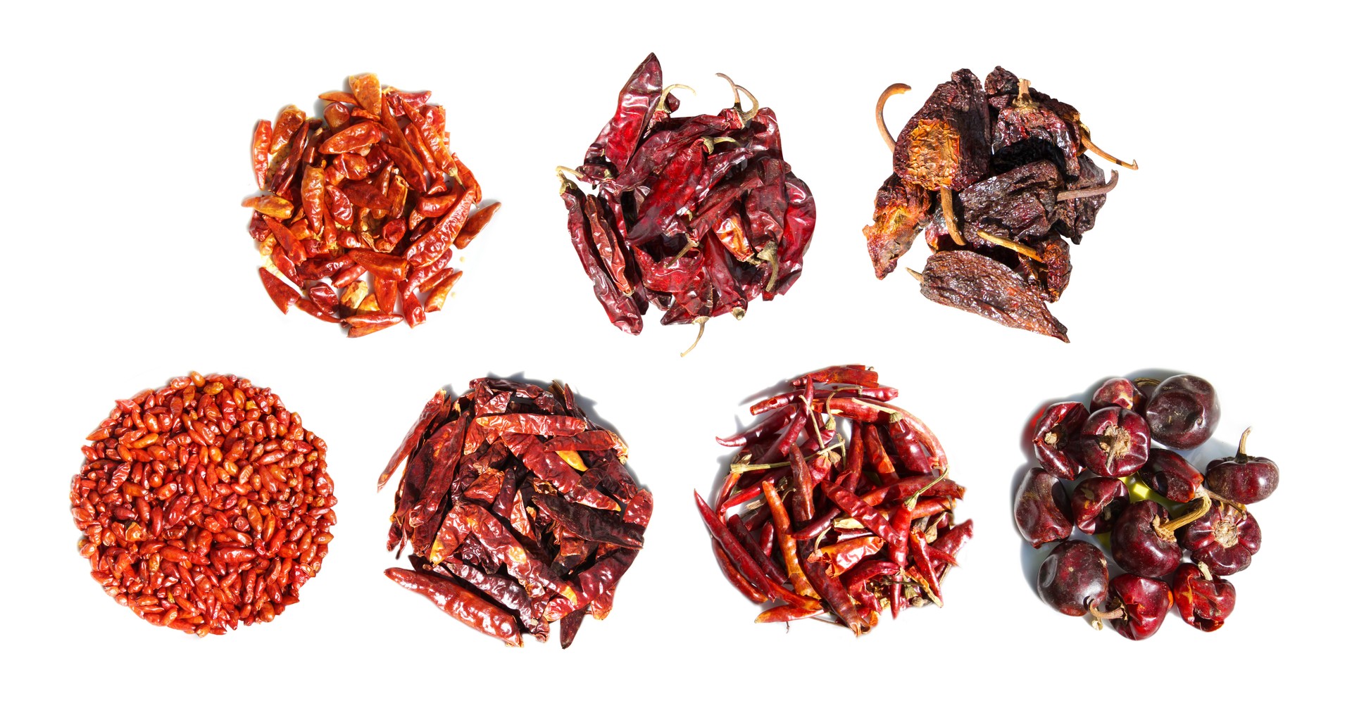 Dried chili peppers